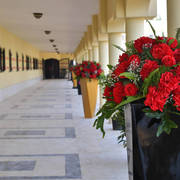 Lisa Abraham: The 2018 Egyptian Event ~ Cairo Photo Gallery