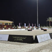 Lisa Abraham: The 2018 Egyptian Event ~ Cairo Photo Gallery