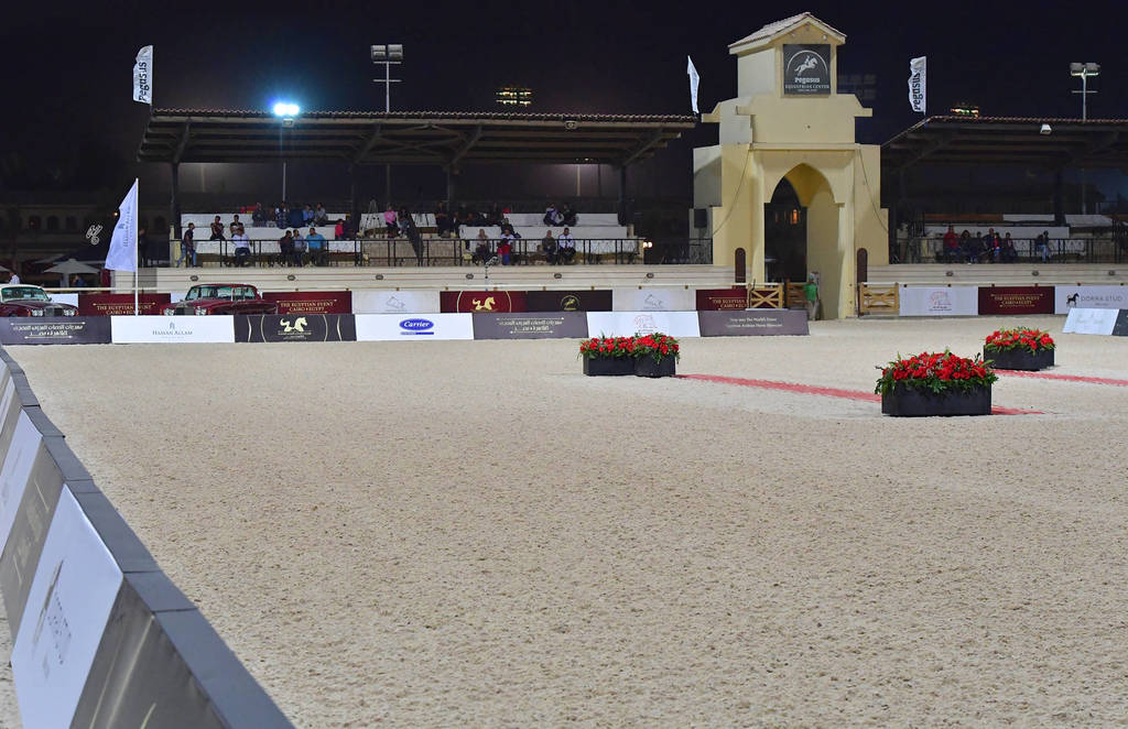 Lisa Abraham: The 2018 Egyptian Event ~ Cairo Photo Gallery