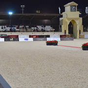 Lisa Abraham: The 2018 Egyptian Event ~ Cairo Photo Gallery