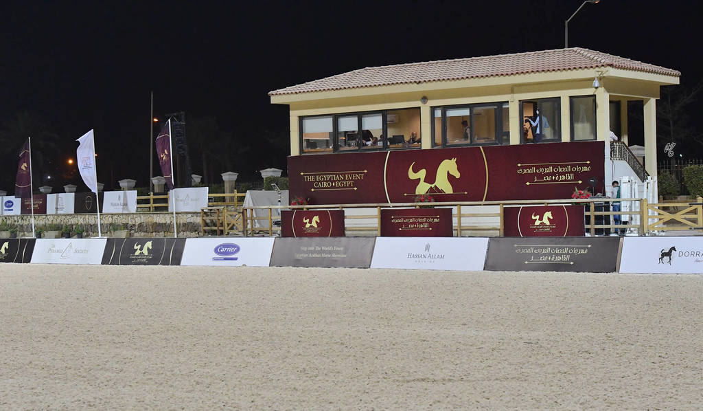 Lisa Abraham: The 2018 Egyptian Event ~ Cairo Photo Gallery