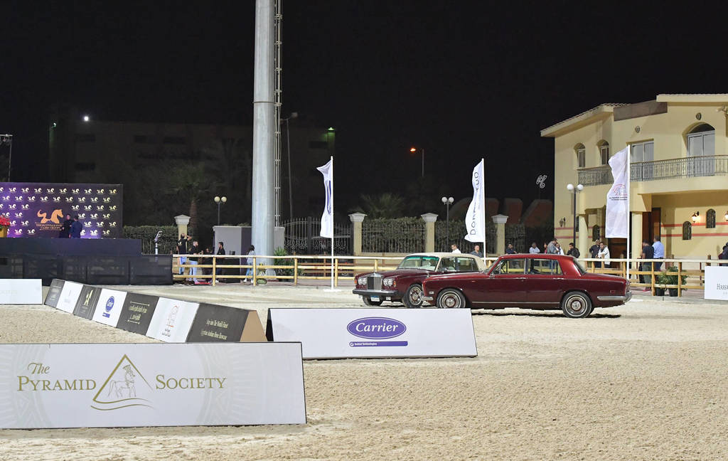 Lisa Abraham: The 2018 Egyptian Event ~ Cairo Photo Gallery