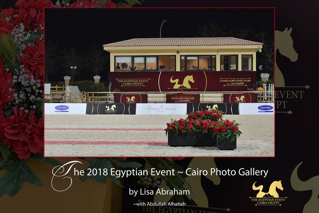 Lisa Abraham: The 2018 Egyptian Event ~ Cairo Photo Gallery