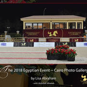 Lisa Abraham: The 2018 Egyptian Event ~ Cairo Photo Gallery