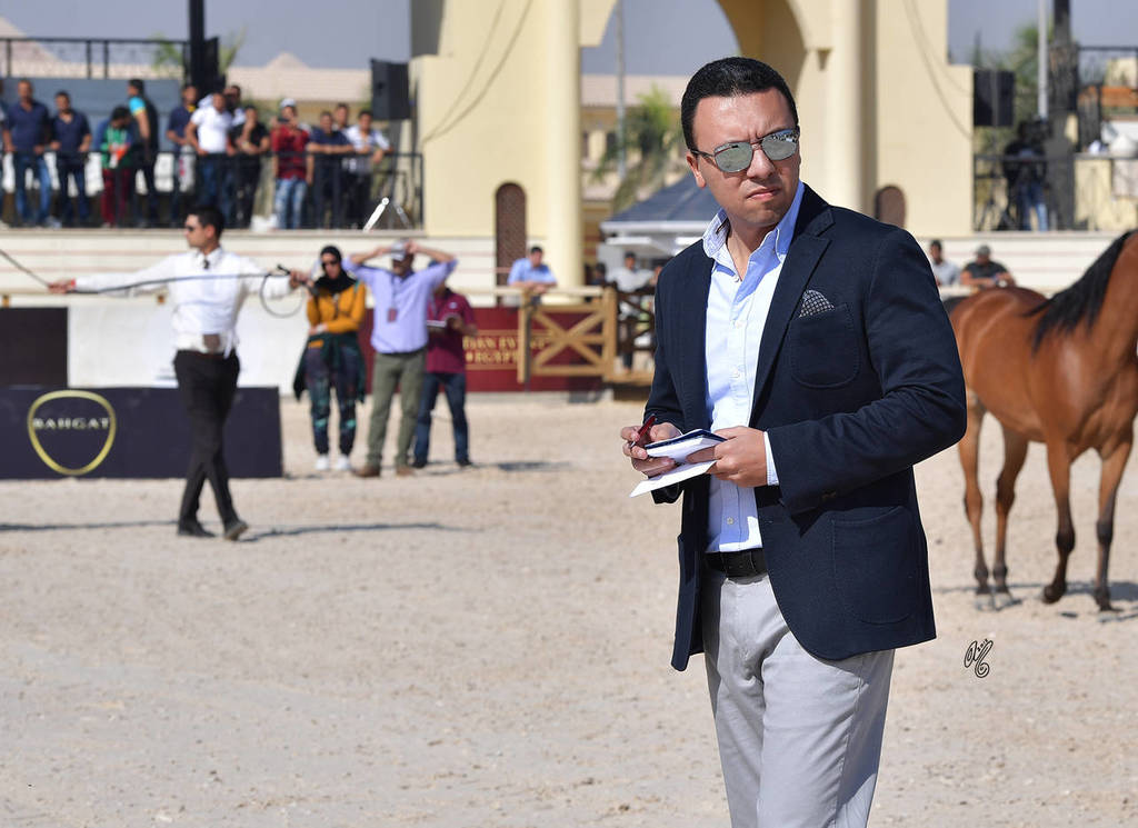 Probation Judge Mahmoud Mohsen