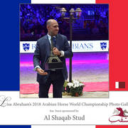 Lisa Abraham: The 2018 Arabian Horse World Championship Photo Gallery