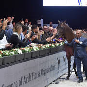 Lisa Abraham: The 2018 Arabian Horse World Championship Photo Gallery