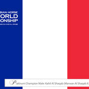 Lisa Abraham: The 2018 Arabian Horse World Championship Photo Gallery