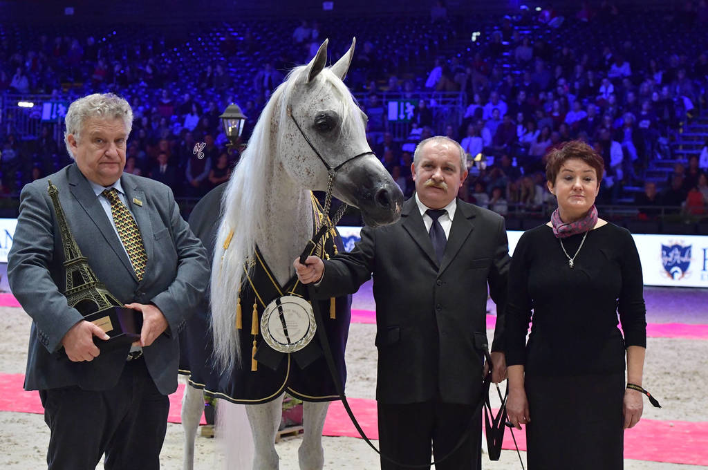Lisa Abraham: The 2018 Arabian Horse World Championship Photo Gallery