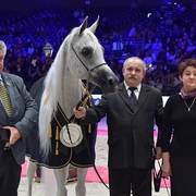 Lisa Abraham: The 2018 Arabian Horse World Championship Photo Gallery