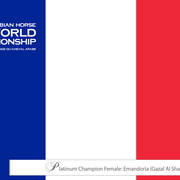 Lisa Abraham: The 2018 Arabian Horse World Championship Photo Gallery