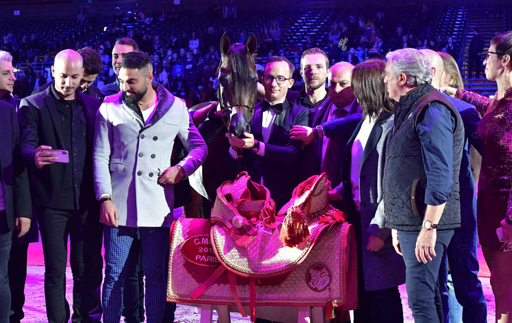 Lisa Abraham: The 2018 Arabian Horse World Championship Photo Gallery