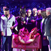 Lisa Abraham: The 2018 Arabian Horse World Championship Photo Gallery