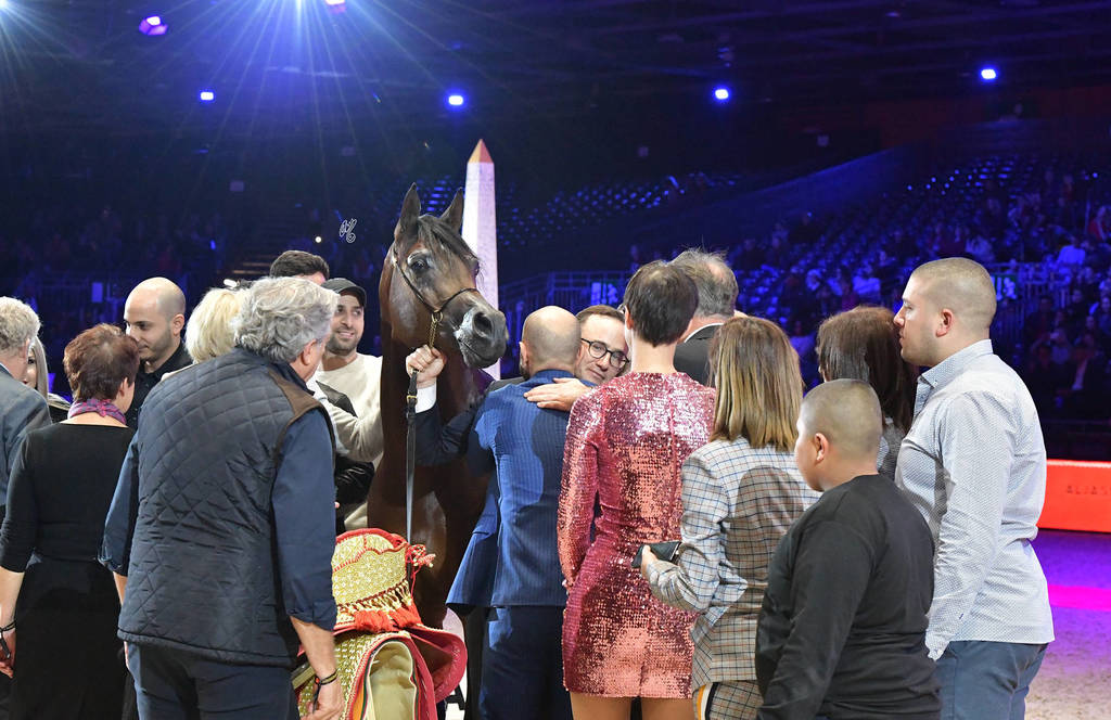Senior Male Gold Champion: Equator (QR Marc X Ekliptyka)
