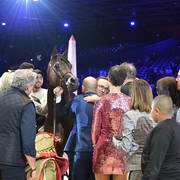 Senior Male Gold Champion: Equator (QR Marc X Ekliptyka)