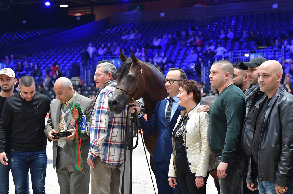 Senior Male Gold Champion: Equator (QR Marc X Ekliptyka)