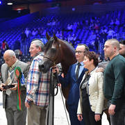 Senior Male Gold Champion: Equator (QR Marc X Ekliptyka)