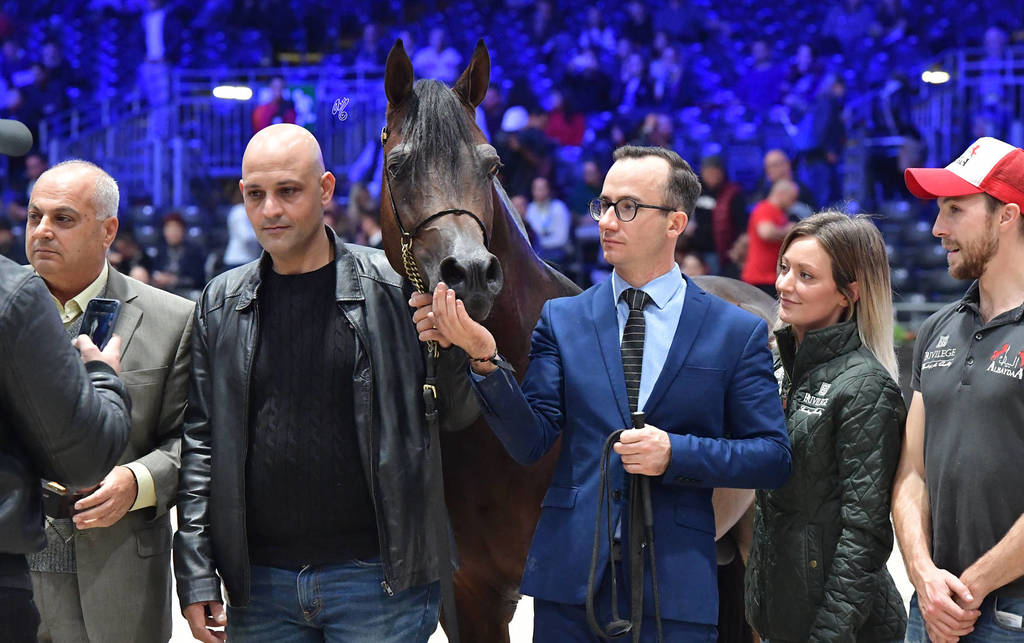 Senior Male Gold Champion: Equator (QR Marc X Ekliptyka)