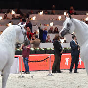 Senior Male Bronze Champion Al Ayal AA (left) and Al Khatab Al Thani (right)