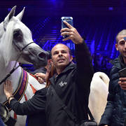 Senior Male Bronze Champion: Al Ayal AA (Al Ayad X The Vision HG)