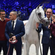Senior Female Gold Champion: Anood Al Nasser (Ashaal Al Rayyan X Aleysha Al Nasser)