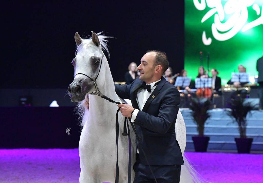 Senior Female Gold Champion: Anood Al Nasser (Ashaal Al Rayyan X Aleysha Al Nasser)