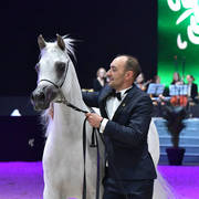 Senior Female Gold Champion: Anood Al Nasser (Ashaal Al Rayyan X Aleysha Al Nasser)