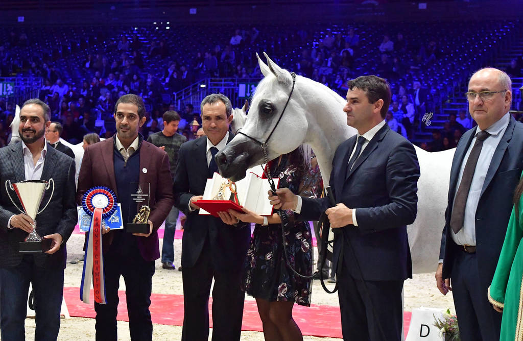Senior Female Bronze Champion: Wadad Zamani (Laheeb X Zena Al Buraq)