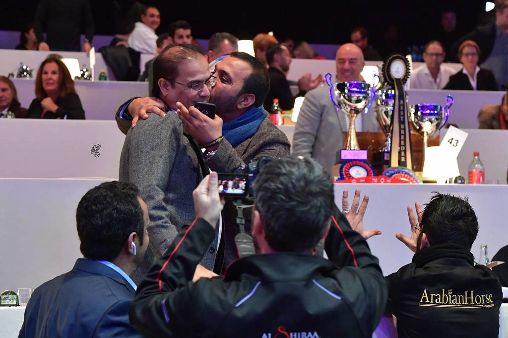 Junior Male Gold Champion: D Seraj (FA El Rasheem X Ladi Veronica)