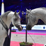Junior Male Champions D Seraj (right) and AJ Kafu (left)