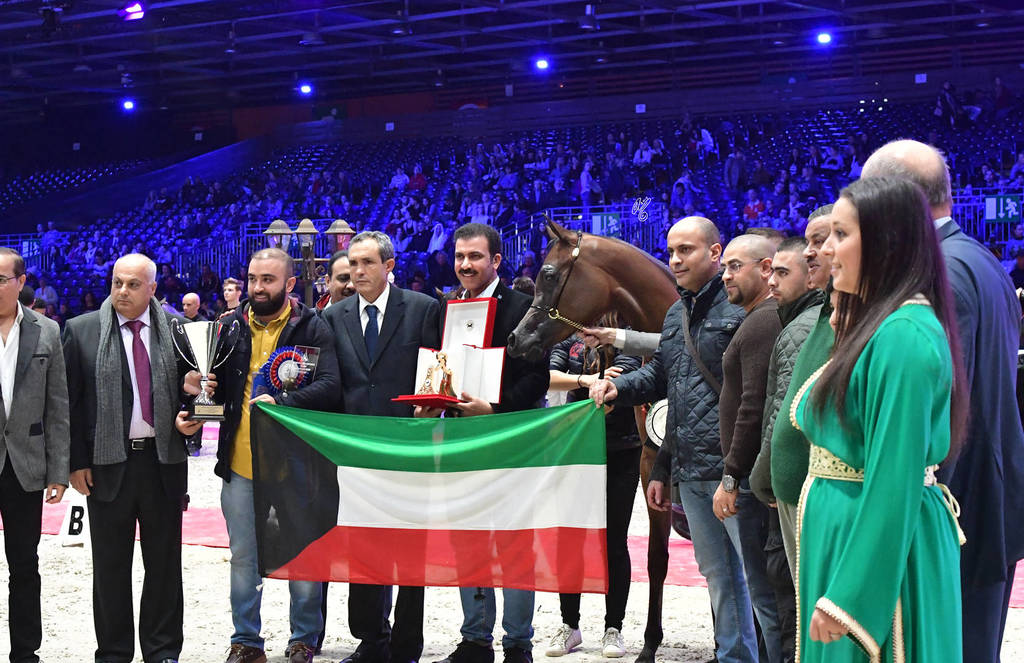 Yearling Male Bronze Champion: Duke Santonio (Santorini X Amaliaa)