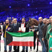 Yearling Male Bronze Champion: Duke Santonio (Santorini X Amaliaa)
