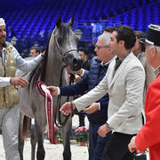 Yearling Female Silver Champion: D Shihanah (FA El Rasheem X D Shahla)