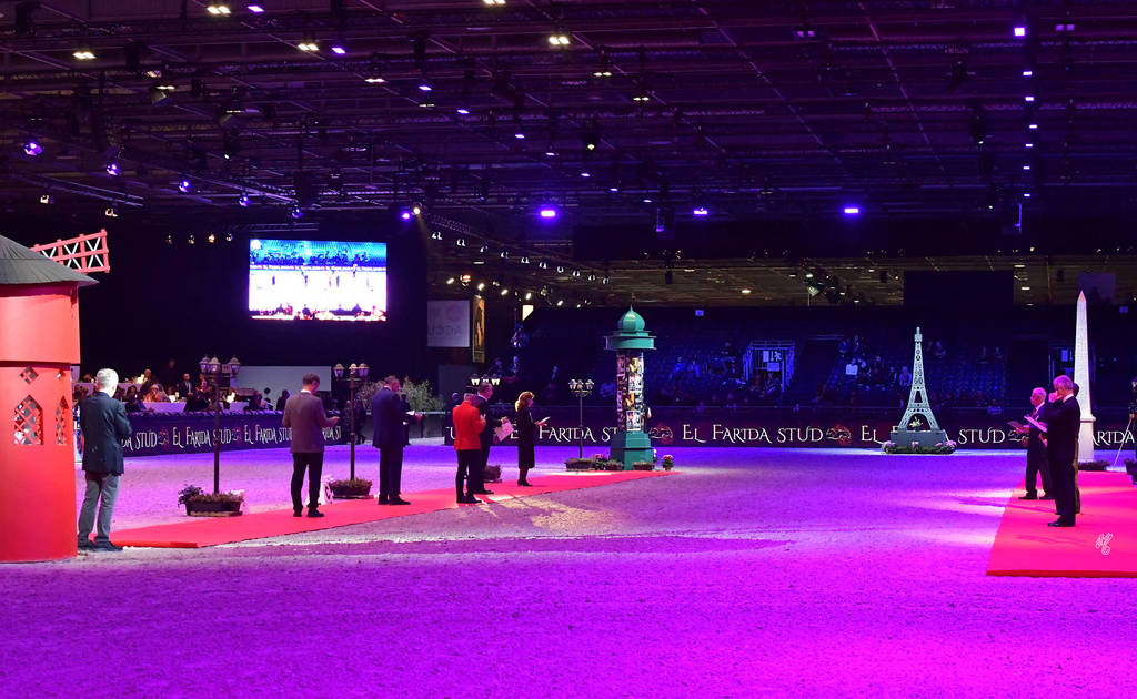 Lisa Abraham: The 2018 Arabian Horse World Championship Photo Gallery