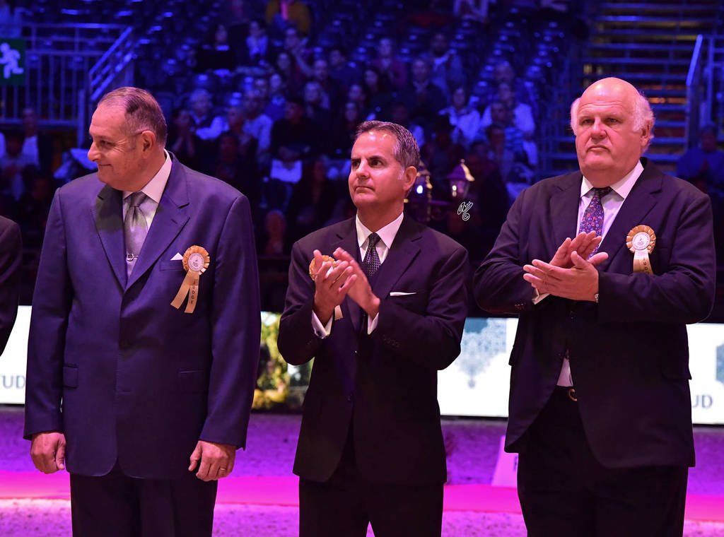 Lisa Abraham: The 2018 Arabian Horse World Championship Photo Gallery