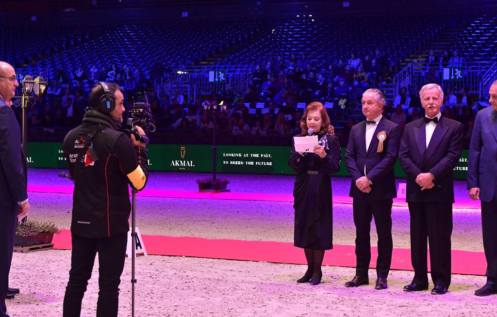 Lisa Abraham: The 2018 Arabian Horse World Championship Photo Gallery