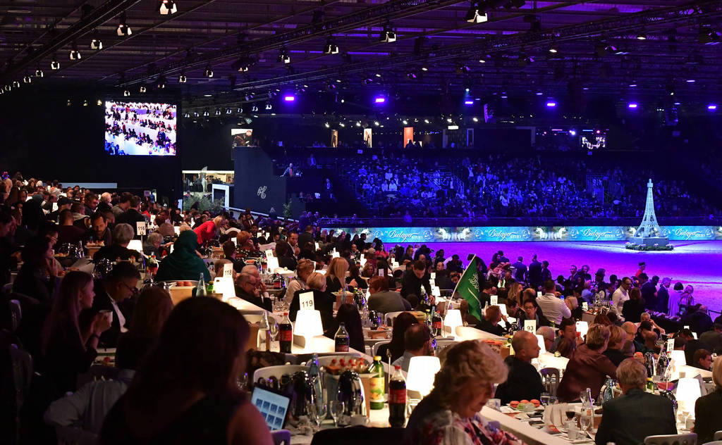 Lisa Abraham: The 2018 Arabian Horse World Championship Photo Gallery