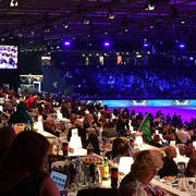 Lisa Abraham: The 2018 Arabian Horse World Championship Photo Gallery