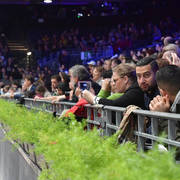 Lisa Abraham: The 2018 Arabian Horse World Championship Photo Gallery