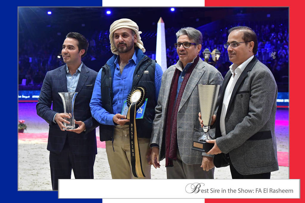 Lisa Abraham: The 2018 Arabian Horse World Championship Photo Gallery