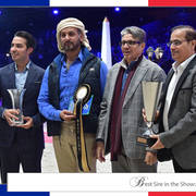 Lisa Abraham: The 2018 Arabian Horse World Championship Photo Gallery