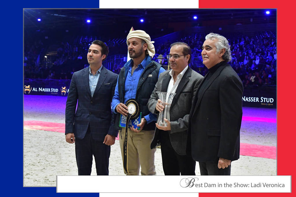 Lisa Abraham: The 2018 Arabian Horse World Championship Photo Gallery