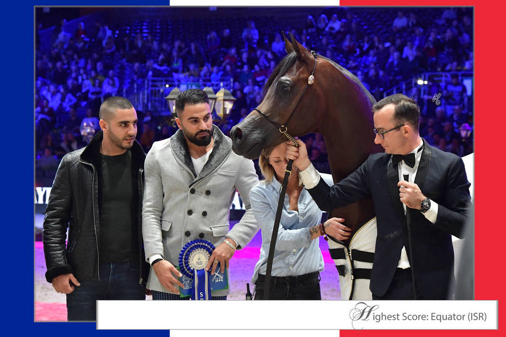Lisa Abraham: The 2018 Arabian Horse World Championship Photo Gallery