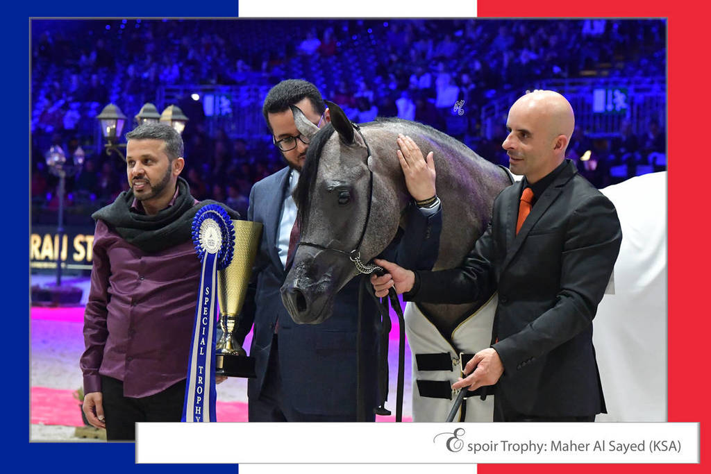 Lisa Abraham: The 2018 Arabian Horse World Championship Photo Gallery