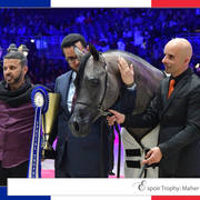 Lisa Abraham: The 2018 Arabian Horse World Championship Photo Gallery