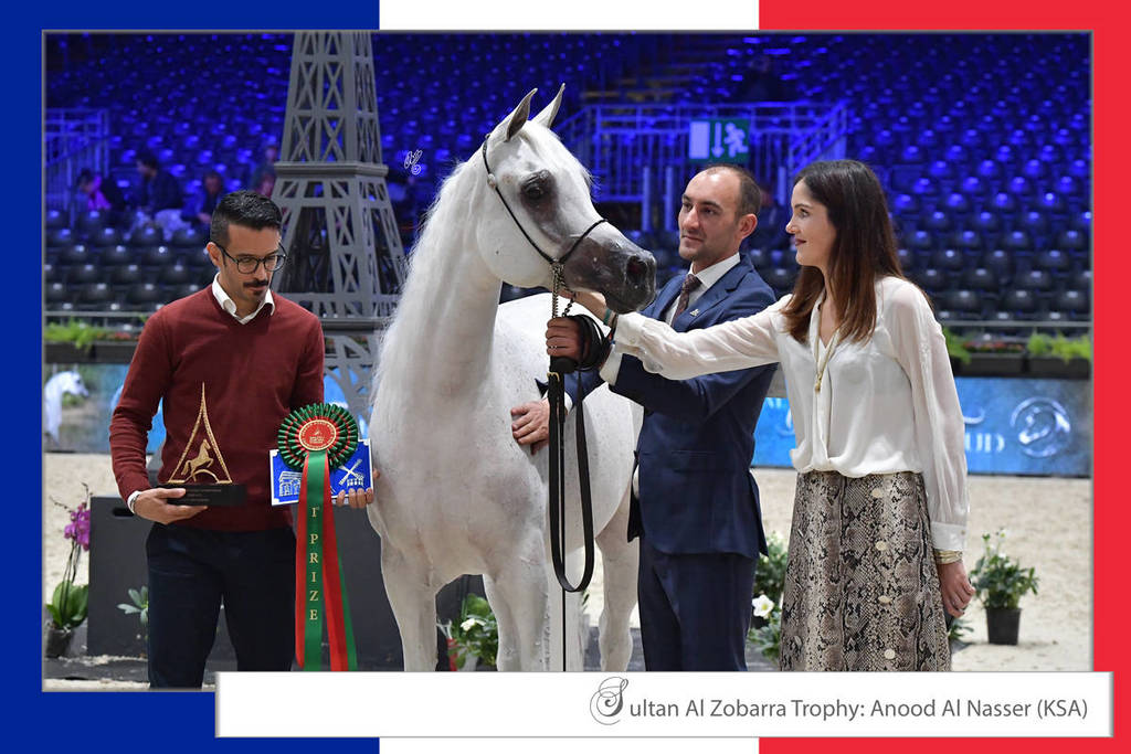 Lisa Abraham: The 2018 Arabian Horse World Championship Photo Gallery