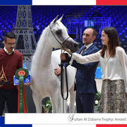 Lisa Abraham: The 2018 Arabian Horse World Championship Photo Gallery
