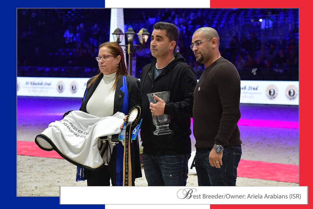 Lisa Abraham: The 2018 Arabian Horse World Championship Photo Gallery