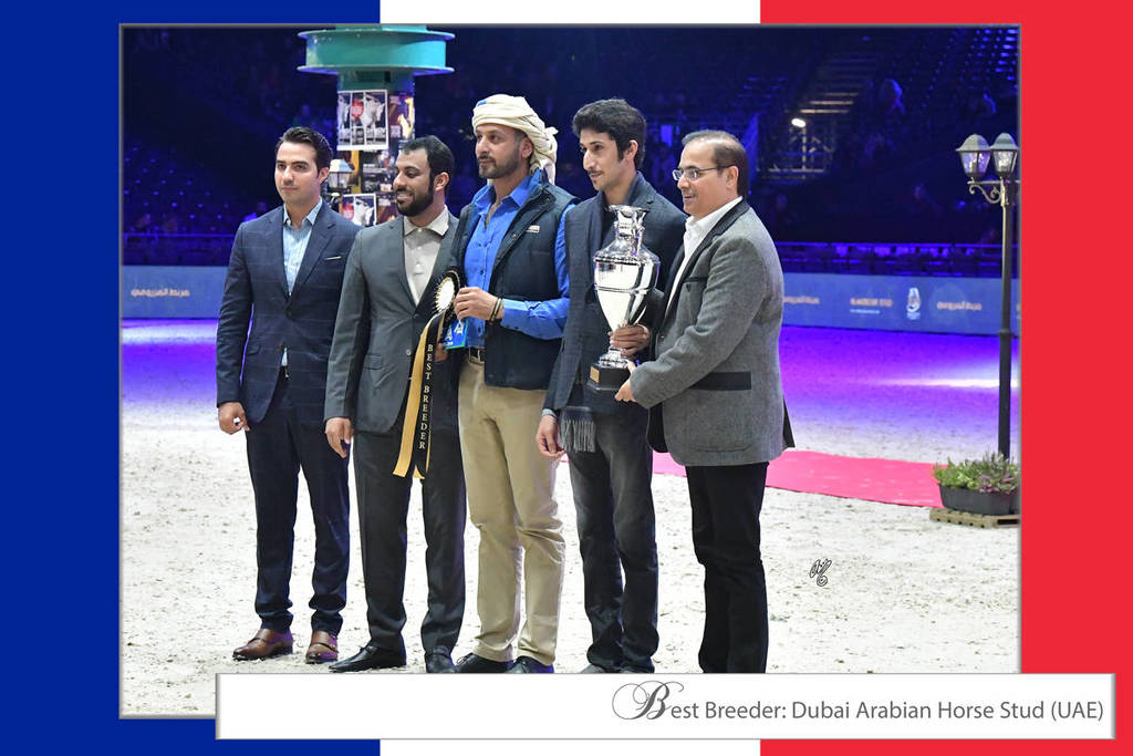 Lisa Abraham: The 2018 Arabian Horse World Championship Photo Gallery