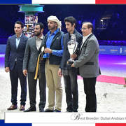 Lisa Abraham: The 2018 Arabian Horse World Championship Photo Gallery